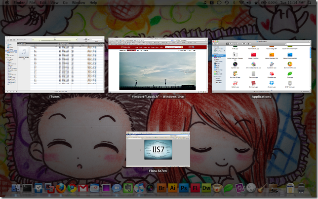 Screen shot 2009-08-18 at 11.14.15 PM
